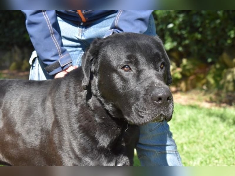 Quilver - Im Stillen reift, was Bestand haben will