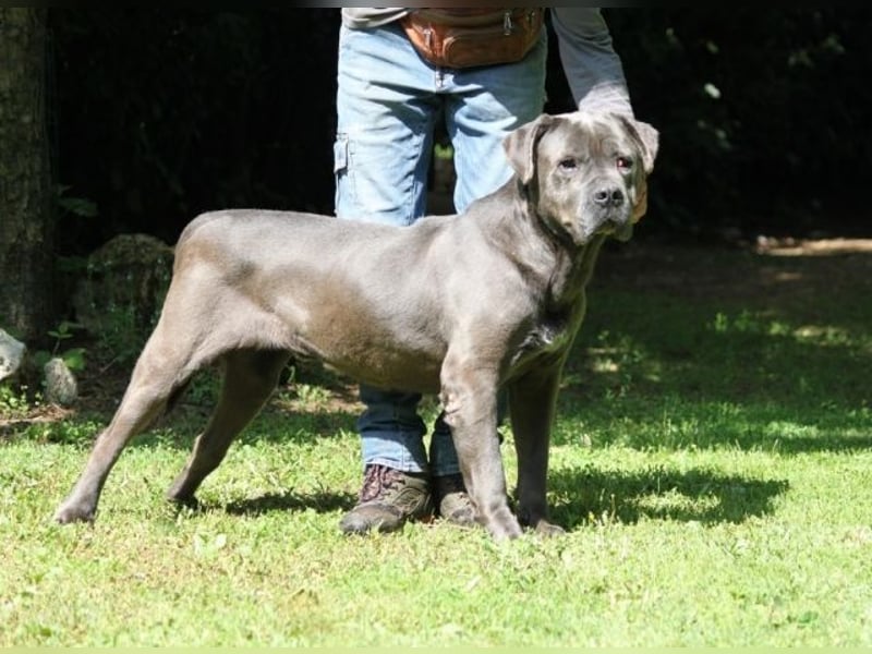 Arkell - SOS - hat Probleme mit den Augen