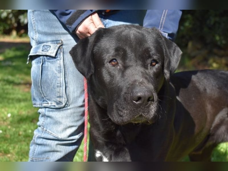 Quilver - Im Stillen reift, was Bestand haben will