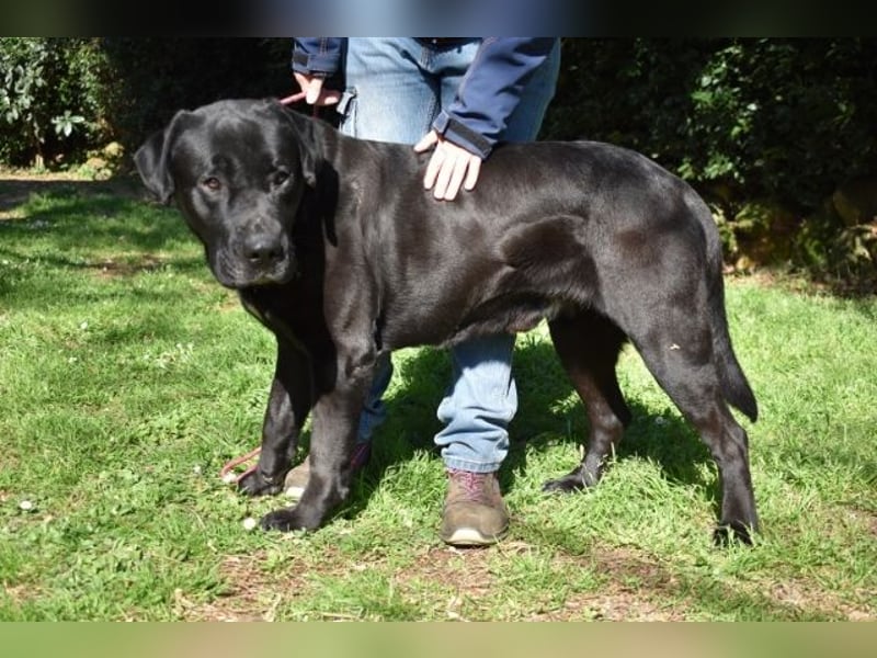 Quilver - Im Stillen reift, was Bestand haben will