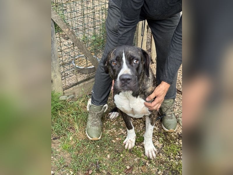 Mars - Sie hatten es doch so fest versprochen!