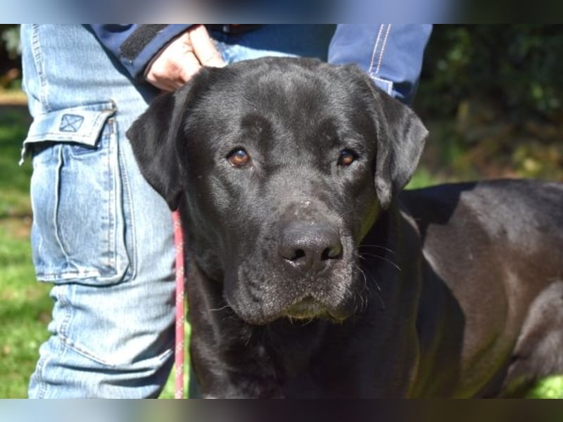 Quilver - Im Stillen reift, was Bestand haben will