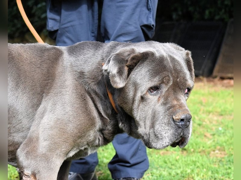 Arkell - Notall - Spuren, die keiner gegangen ist.