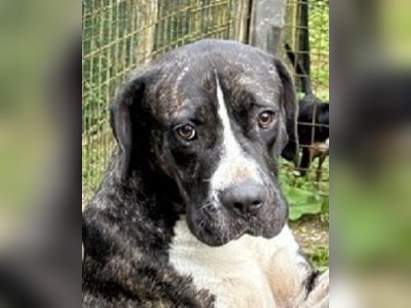 Mars - Sie hatten es doch so fest versprochen!