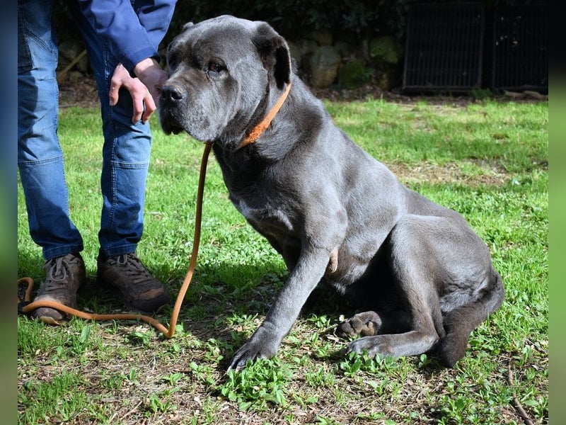 Arkell - Notall - Spuren, die keiner gegangen ist.