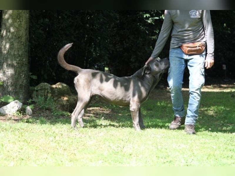 Arkell - SOS - hat Probleme mit den Augen