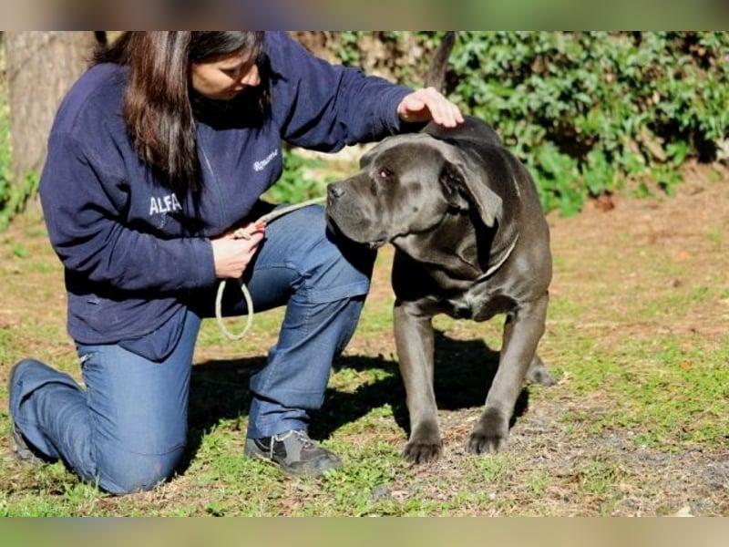 Arkell - SOS - hat Probleme mit den Augen
