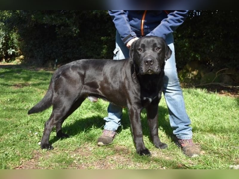 Quilver - Im Stillen reift, was Bestand haben will