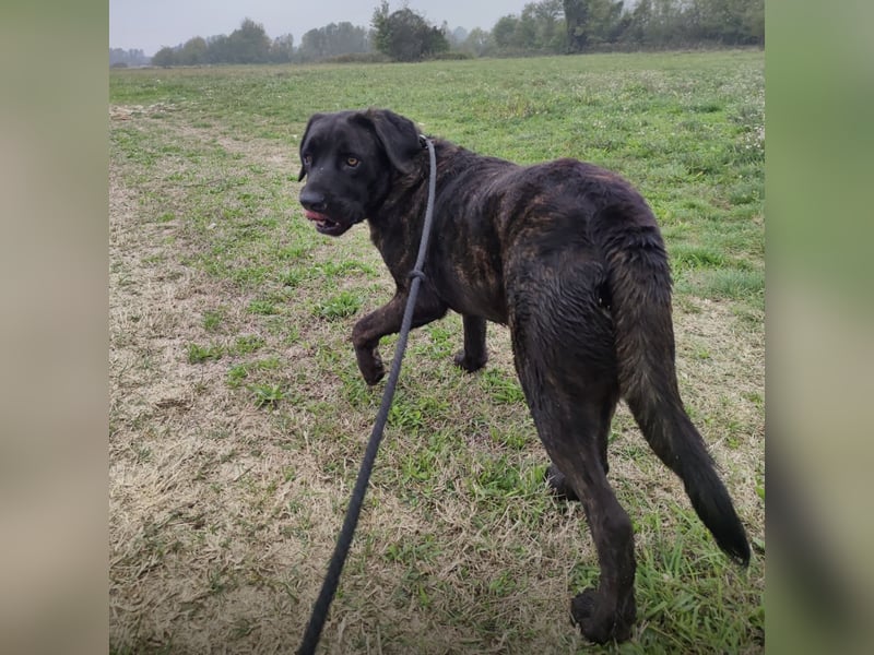 Gustav ein großer Bub