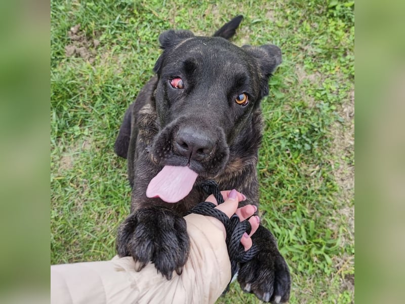 Gustav ein großer Bub