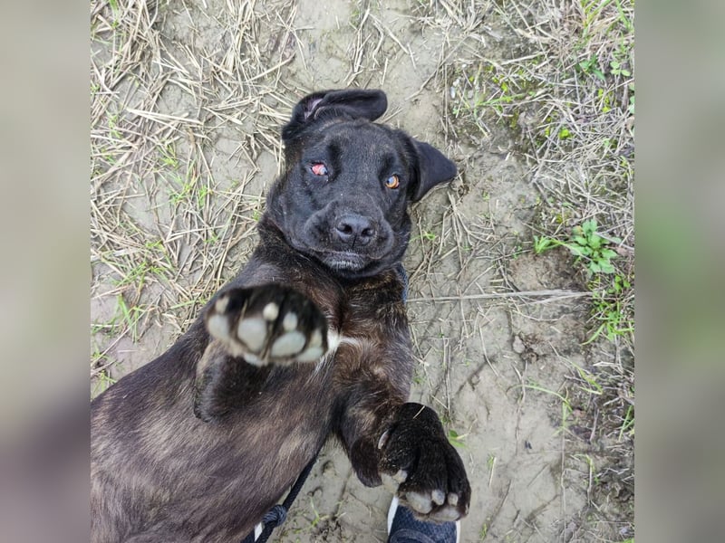 Gustav ein großer Bub