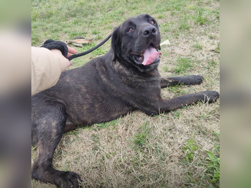 Gustav ein großer Bub