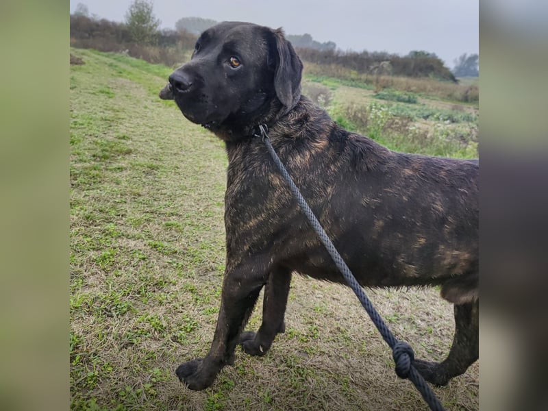 Gustav ein großer Bub