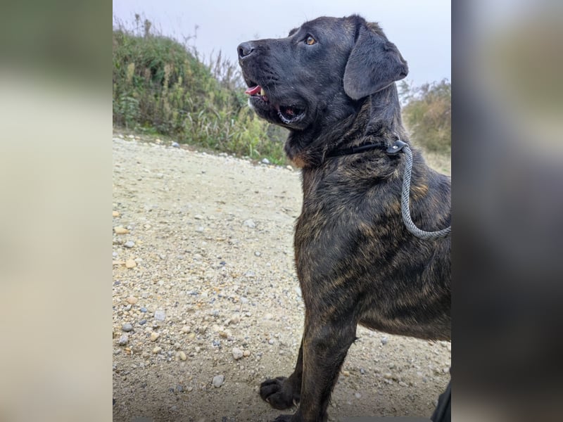 Gustav ein großer Bub