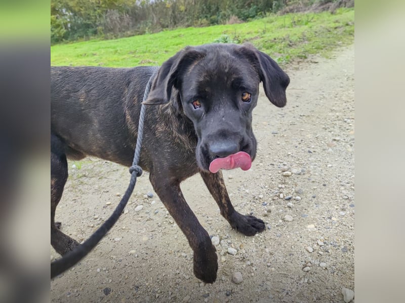 Gustav ein großer Bub