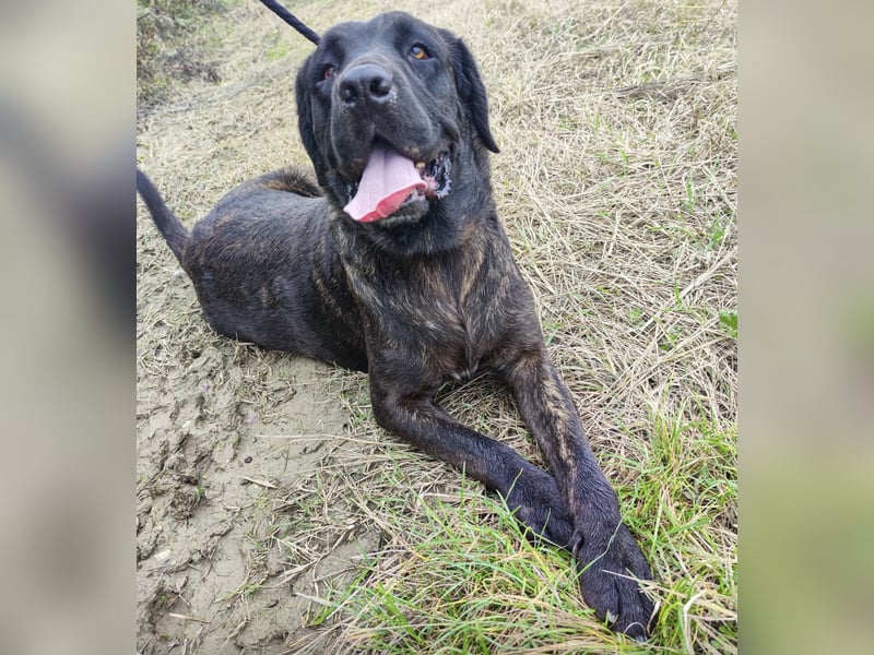 Gustav ein großer Bub