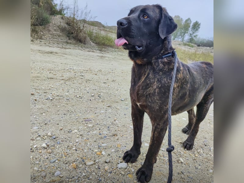 Gustav ein großer Bub