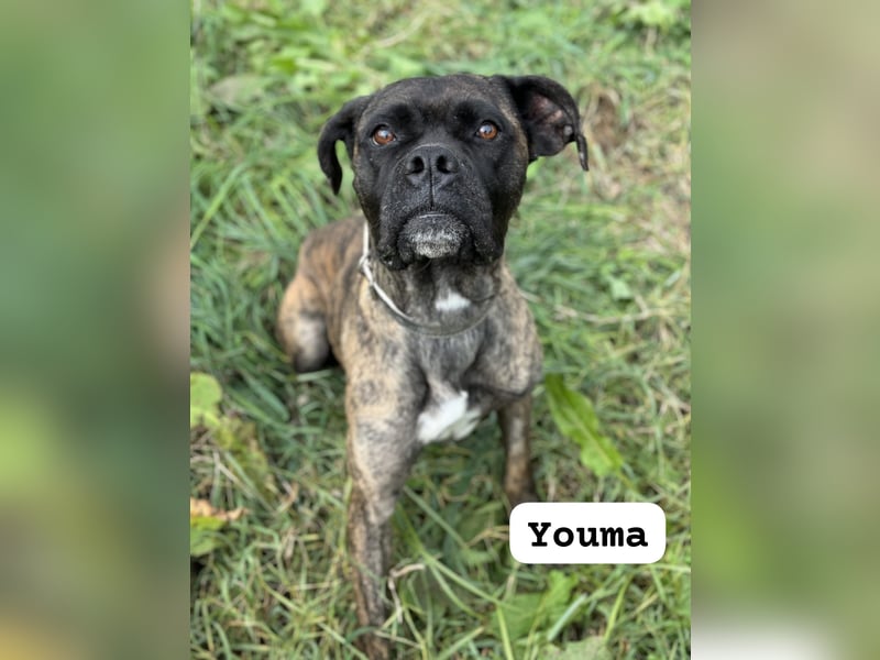 Youma: „Wo sind meine Menschen?“