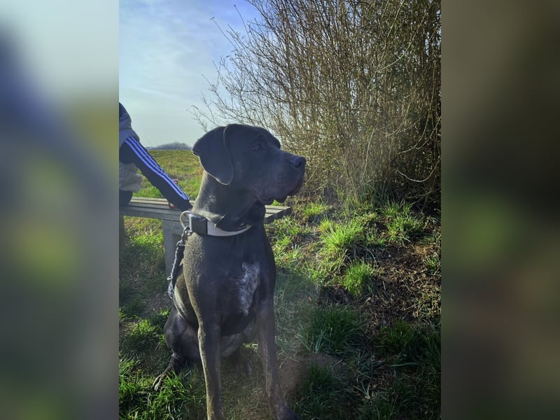 Schweren Herzens: Jay sucht sein neues Zuhause