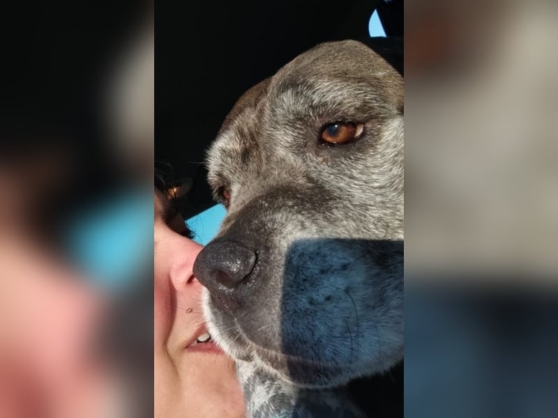 Tea sucht dauerhaftes Happy-Home