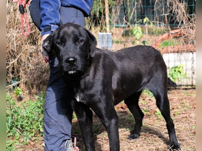 Drift - der Wald, in dem die Träume wohnen... Drift - der Wald, in dem die Träume wohnen...