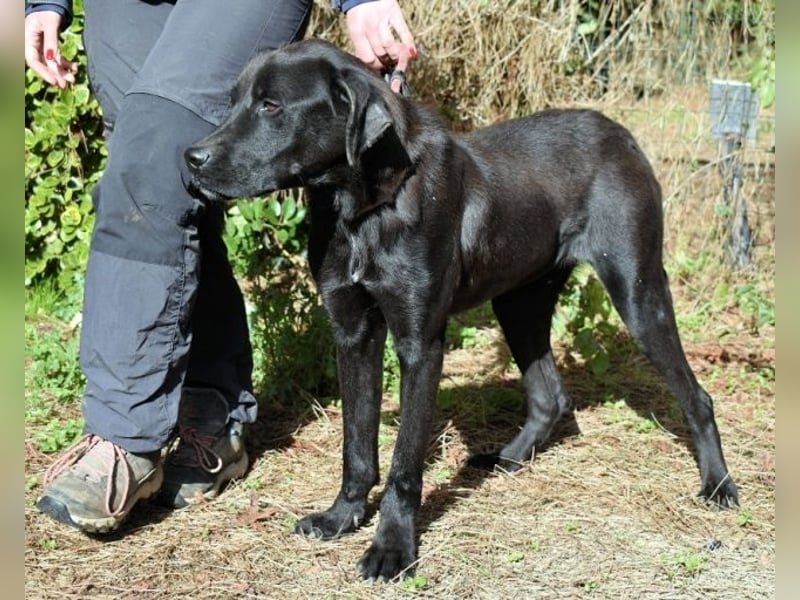 Drift - der Wald, in dem die Träume wohnen... Drift - der Wald, in dem die Träume wohnen...