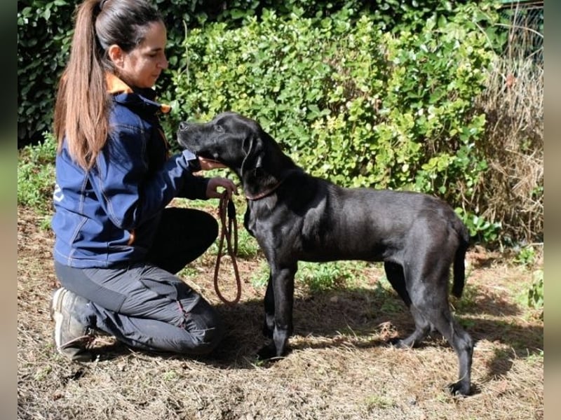 Drift - der Wald, in dem die Träume wohnen...