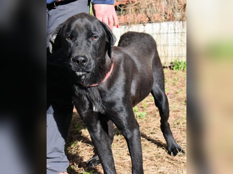 Drift - der Wald, in dem die Träume wohnen... Drift - der Wald, in dem die Träume wohnen...