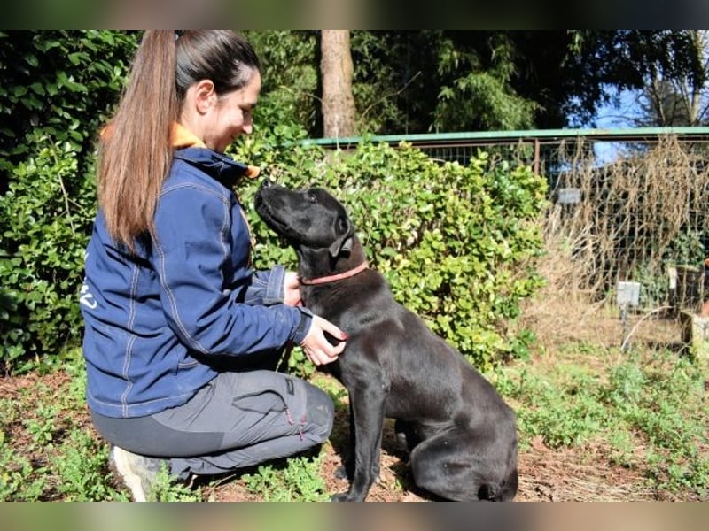 Drift - der Wald, in dem die Träume wohnen...