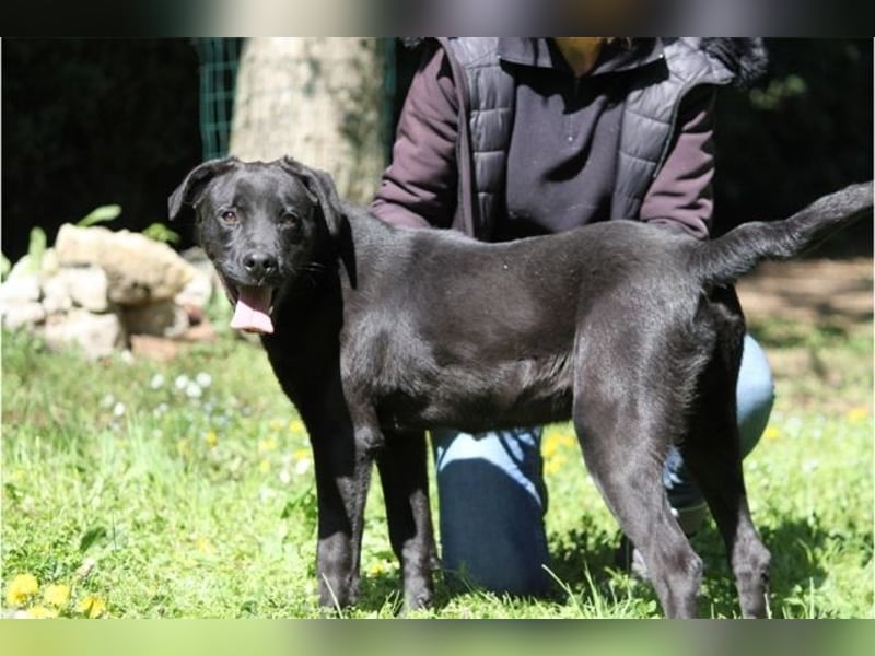 Drift - der Wald, in dem die Träume wohnen... Drift - der Wald, in dem die Träume wohnen...