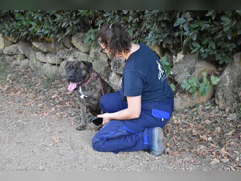 Devvon - Kurz zusammengefasst: Devvon ist eine Perle