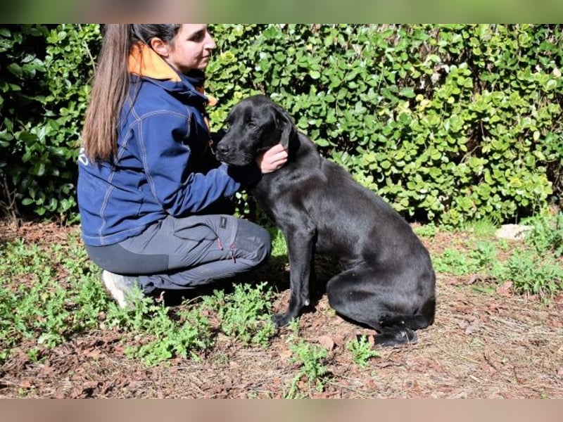 Drift - der Wald, in dem die Träume wohnen...