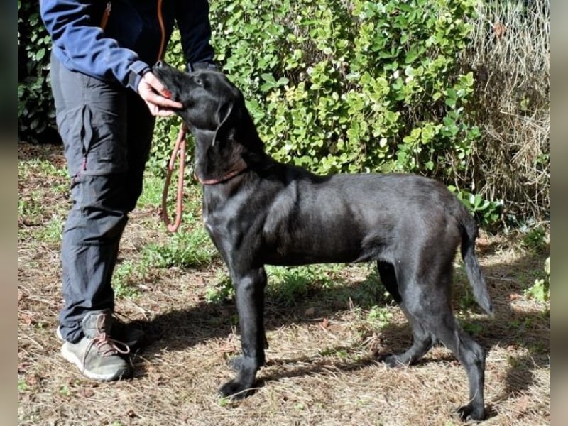 Drift - der Wald, in dem die Träume wohnen...