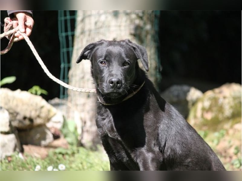 Drift - der Wald, in dem die Träume wohnen...