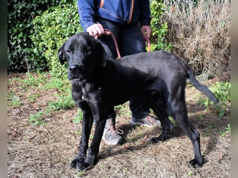 Drift - der Wald, in dem die Träume wohnen... Drift - der Wald, in dem die Träume wohnen...