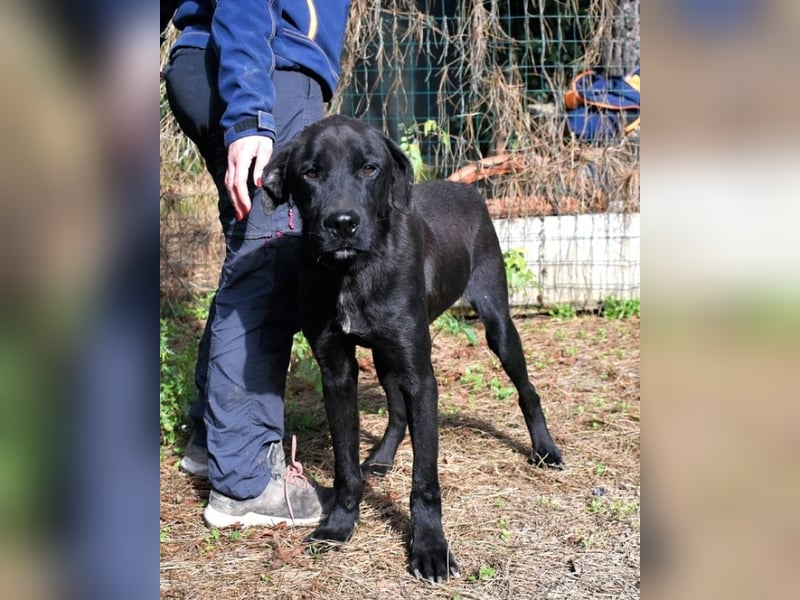 Drift - der Wald, in dem die Träume wohnen...