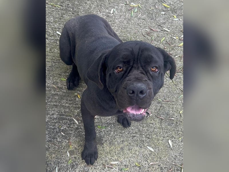 Nika: „Wo sind meine Menschen?“