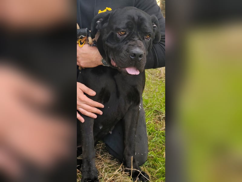 Nika: „Wo sind meine Menschen?“