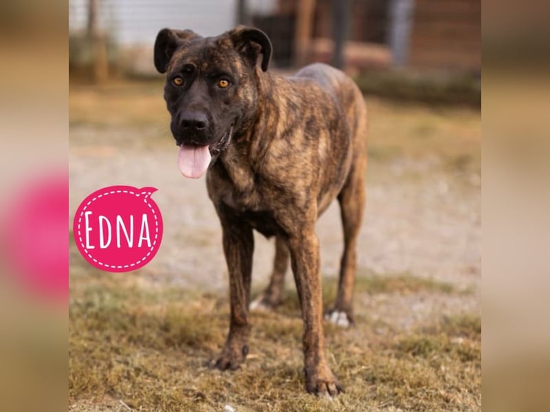 Edna eine sensible Seele. Edna eine sensible Seele.