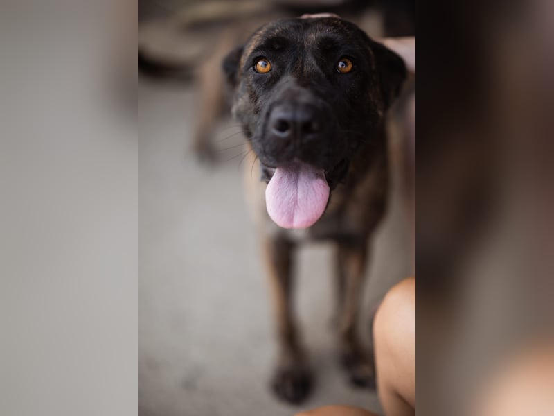 Edna eine sensible Seele. Edna eine sensible Seele.