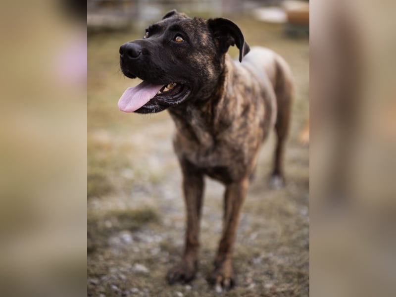 Edna eine sensible Seele. Edna eine sensible Seele.