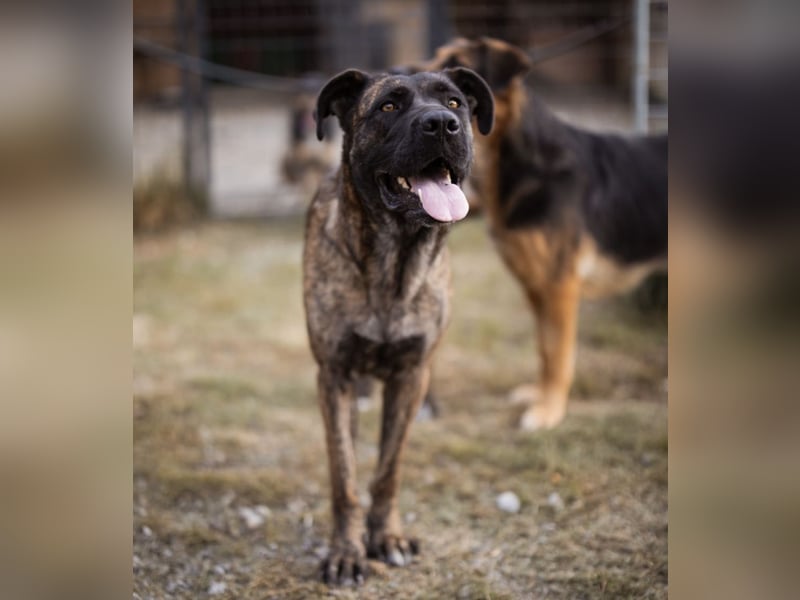 Edna eine sensible Seele. Edna eine sensible Seele.