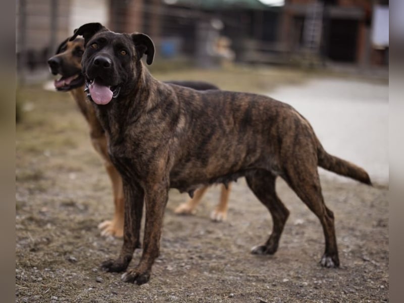 Edna eine sensible Seele. Edna eine sensible Seele.