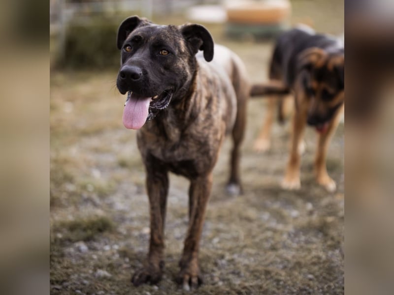 Edna eine sensible Seele. Edna eine sensible Seele.