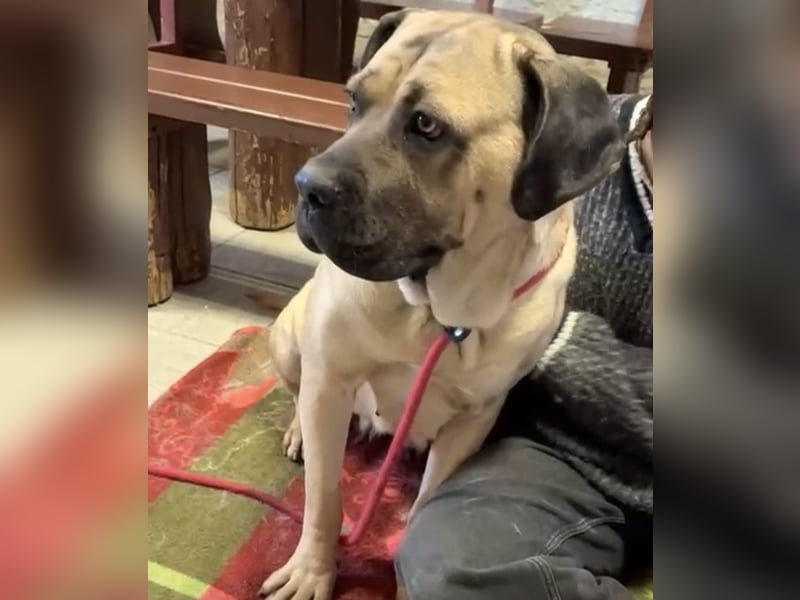 Daria sucht ihre Menschen