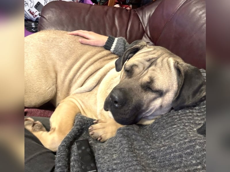 Daria sucht ihre Menschen