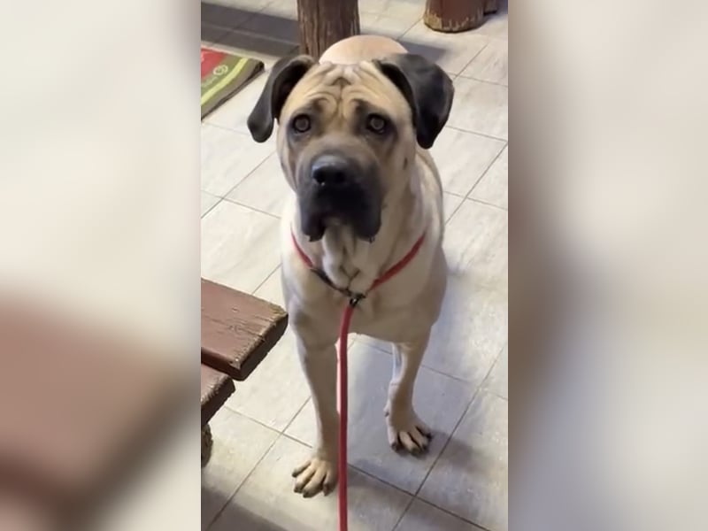 Daria sucht ihre Menschen