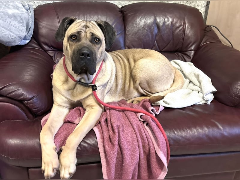 Daria sucht ihre Menschen