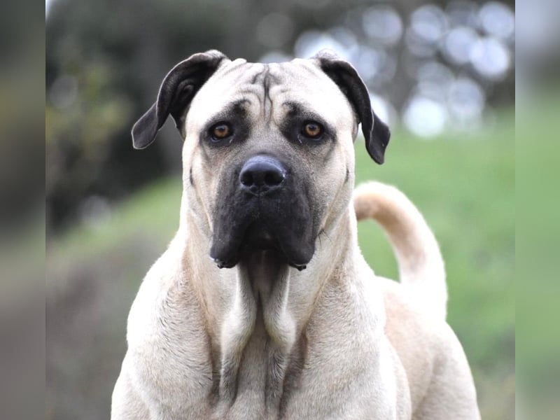 Daria sucht ihre Menschen