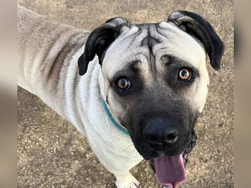 Daria sucht ihre Menschen